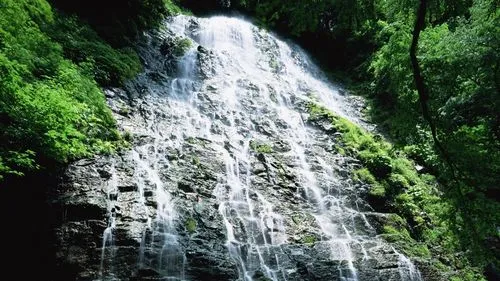 节能智能系统先进